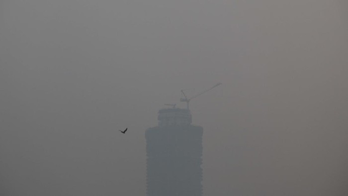 A highrise building is pictured on a polluted smoggy morning in New Delhi, India, November 7, 2024.REUTERS/Anushree Fadnavis