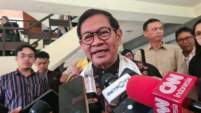Pramono Anung (Joakhim/detikcom)