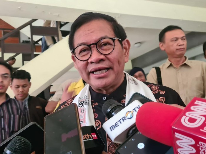 Pramono Anung (Joakhim/detikcom)