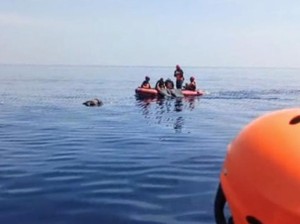 Hilang 2 Hari, Nelayan Situbondo Ditemukan Meninggal di Pantai Kalbut