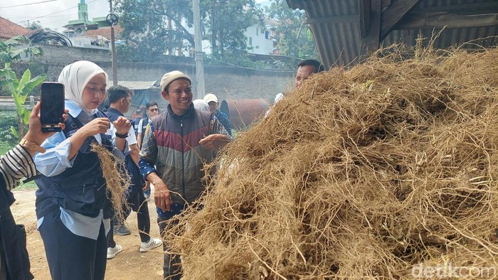 Putri Karlina mengunjungi pabrik penyulingan minyak akar wangi di Cilawu Garut
