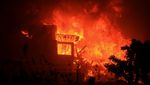 Rumah-rumah Mewah di California Dilalap Api Kebakaran Hutan