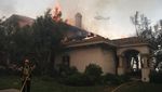 Rumah-rumah Mewah di California Dilalap Api Kebakaran Hutan