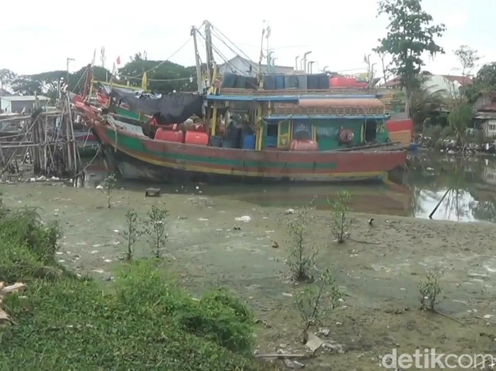 Sungai Kluwut di Kabupaten Brebes mengalami pendangkalan, Kamis (7/11/2024).