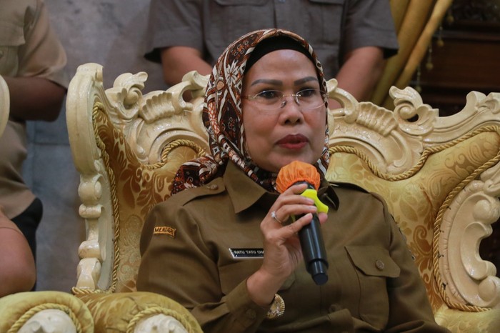 Bupati Serang Ratu Tatu Chasanah