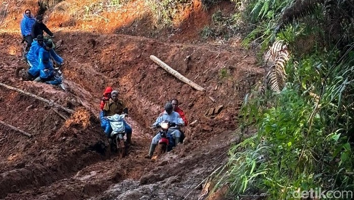 Danny Pomanto menjajal Jalur Seko di Kabupaten Luwu Utara. Hermawan Mappiwali/detikcom