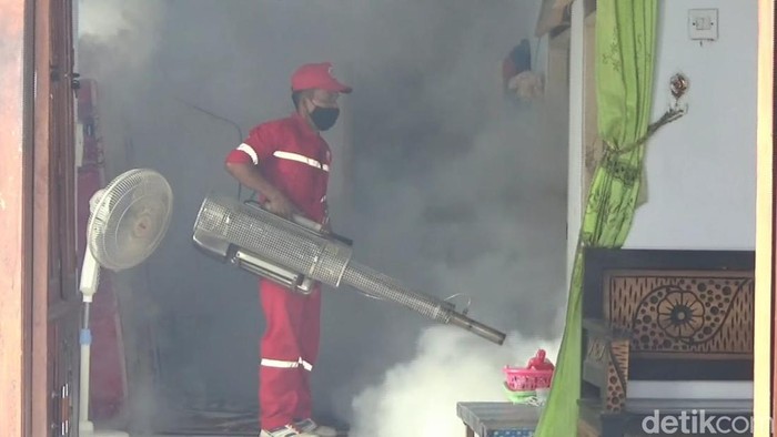fogging digencarkan usai 11 pasien dbd meninggal