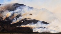 Hembusan angin dengan kecepatan hingga 80 mph mendorong api dengan cepat menyebar hingga sulit untuk dipadamkan. (REUTERS/David Swanson)  