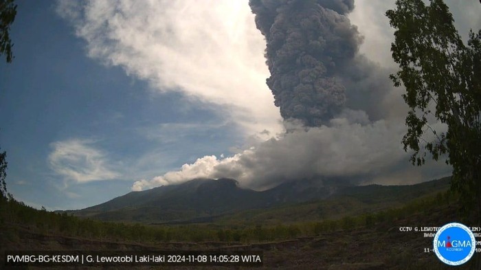 Gunung Lewotobi Laki-laki di Kabupaten Flores Timur, NTT, kembali erupsi dengan tinggi kolom abu 4 kilometer, Jumat (7/11/2024).