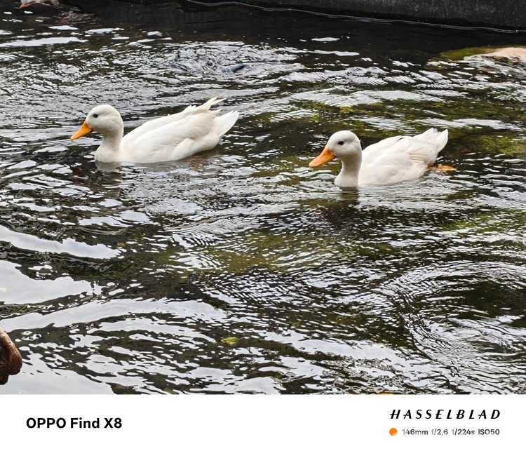 Hasil Foto Oppo Find X8