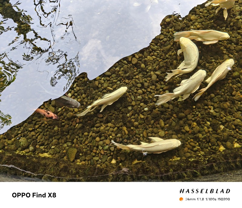 Hasil Foto Oppo Find X8