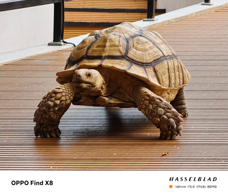 Hasil Foto Oppo Find X8