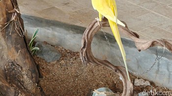 Foto yang dihasilkan jernih dengan rentang dinamis yang baik. Foto: Adi Fida Rahman/detikINET