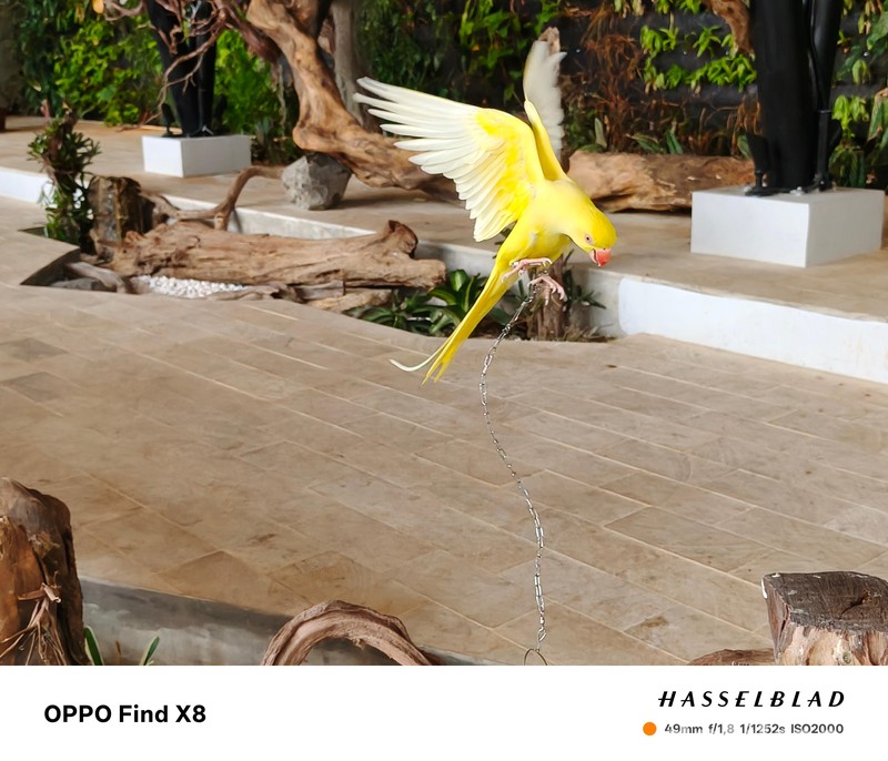 Hasil Foto Oppo Find X8