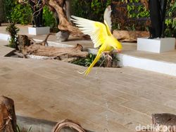 Ini Hasil Jepretan Kamera Oppo Find X8, Segera Rilis di Indonesia