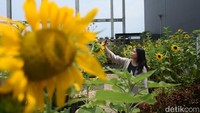 Konsep Sky Garden ini merupakan hasil kerja keras tim BTM yang ingin menyajikan pengalaman baru bagi pengunjung.