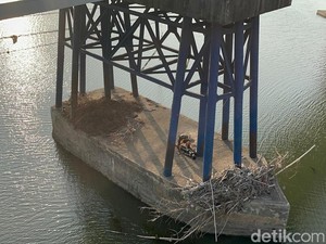 5 Fakta Buruh Pabrik Mojokerto Coba Akhiri Hidup Terjun ke Sungai Brantas