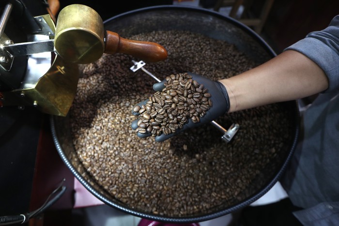 Pekerja mengolah biji kopi arabika gayo (Coffea arabica L) untuk dipasarkan di tempat pengolahan Aqilla Coffee, Ulee Kareng, Banda Aceh, Aceh, Jumat (8/11/2024). Biji kopi arabika gayo yang didatangkan dari Kabupaten Aceh Tengah, Bener Meriah dan Gayo Lues itu dipasarkan di wilayah Aceh dan sejumlah daerah dengan harga Rp220.000 hingga Rp400.000 per kilogram tergatung jenis dan proses pascapanen. ANTARA FOTO/Irwansyah Putra/wpa.