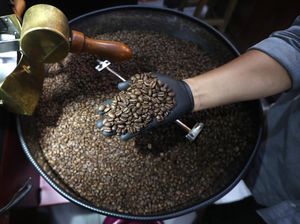 5 Kopi Kebanggaan Indonesia, Ada Gayo hingga Toraja yang Mendunia
