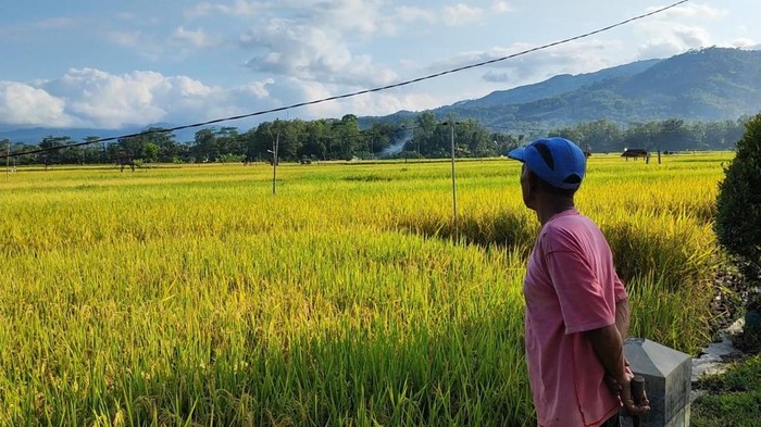 Petani dan UMKM di Trenggalek sambut baik pemerintah hapus utang macet
