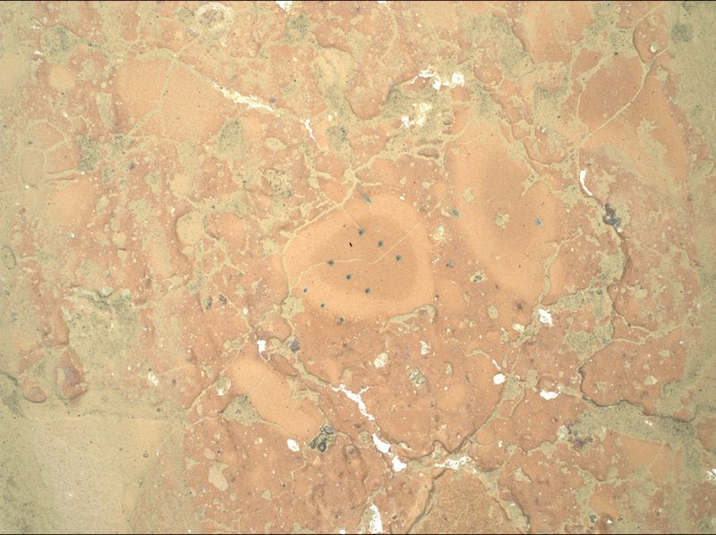 NASA menemukan bintik hijau aneh di Planet Mars lewat Rover Perseverance. Ilmuwan dibuat bingung dengan gambar yang mereka dapatkan.