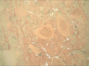 Mantan Karyawan SpaceX Siap Bangun Infrastruktur di Mars