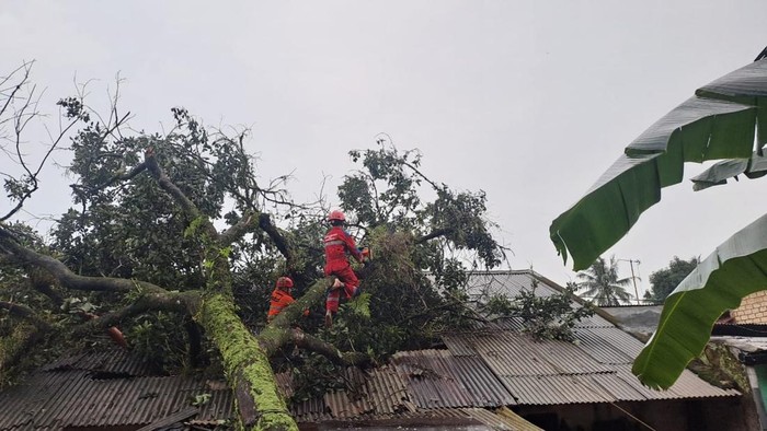 Pohon tumbang mengenai rumah warga di Kota Bogor