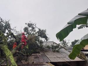 12 Rumah Rusak saat Hujan Deras dan Angin Kencang Landa Kota Bogor