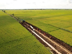 Pemerintah Siapkan 3 Juta Ha Lahan buat Swasembada Pangan