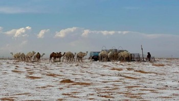 Bentang alam gurun yang dulunya kering kini tampak lebih seperti Pegunungan Alpen Swiss. Foto: Screenshot X @GlobalDiss