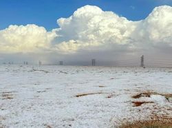 Aneh Tapi Nyata, Hujan Salju di Gurun Arab Saudi