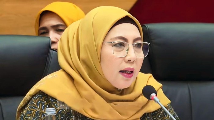 Wakil Ketua Komis X DPR, Himmatul Aliyah.