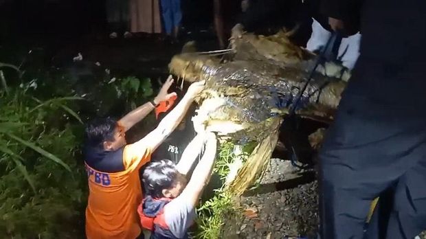 BPBD saat mengevakuasi pohon tumbang yang melintang saluran irigasi