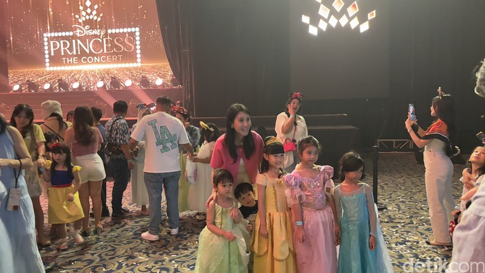Disney Princess The Concert