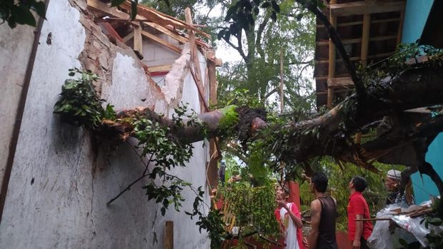 Evakuasi pohon tumbang yang menimpa rumah warga di Tasikmalaya, Sabtu (9/11/2024)