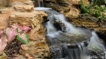 Menggunakan mode long exposure, Foto: Adi Fida Rahman/detikINET