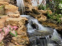 Ini Hasil Foto Kamera Oppo Find X8 Pro, Segera Hadir di RI