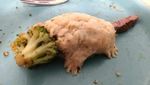 Terlalu Kreatif! 10 Penyajian Makanan Ini Tak Masuk Akal
