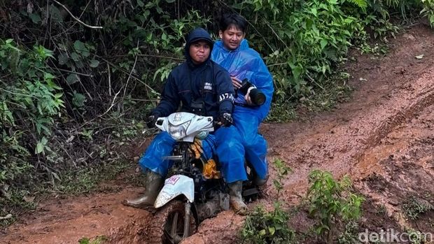 Penampakan Jalur Seko, Luwu Utara, yang haru dijajal Danny Pomanto belum lama ini. Hermawan Mappiwali/detikSulsel