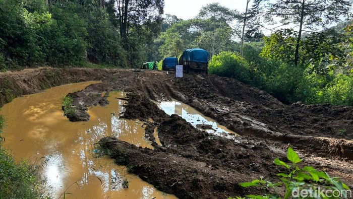 Penampakan Jalur Seko, Luwu Utara, yang haru dijajal Danny Pomanto belum lama ini. Hermawan Mappiwali/detikSulsel