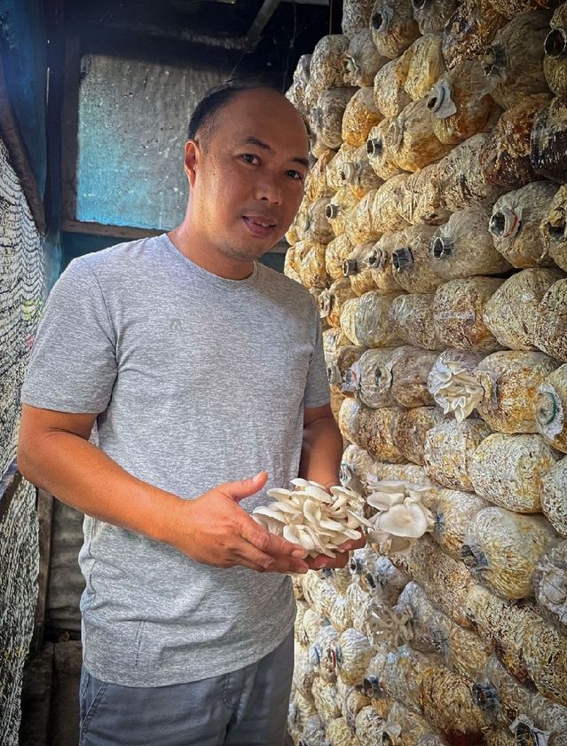 petani jamur sukses di Manila, Filipina