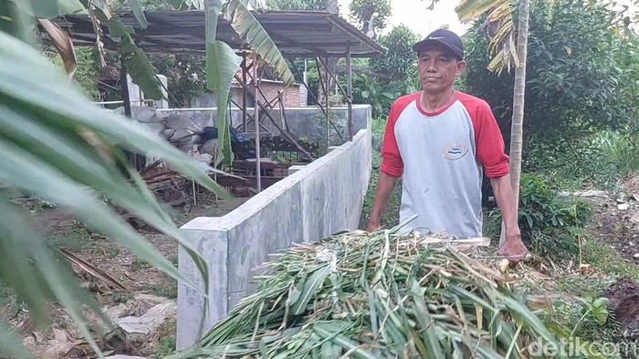 Peternak dan petani di Cirebon