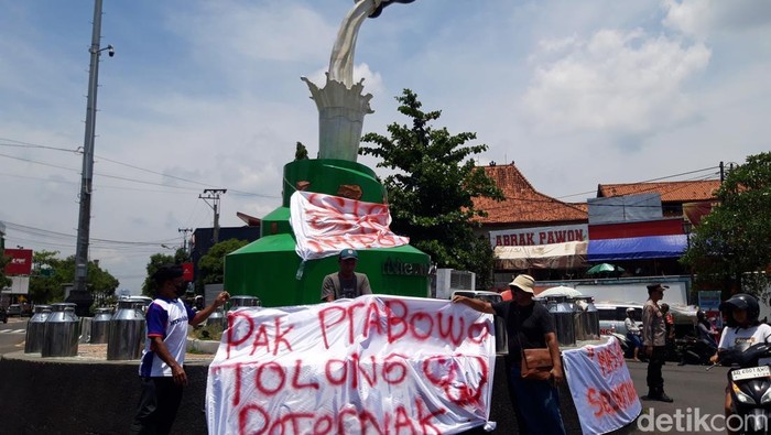 Peternak hingga pengepul susu di Boyolali memasang spanduk protes terkait pengurangan kuota industri pengolahan susu sapi, Sabtu (9/11/2024).