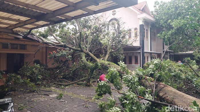 Pohon beringin timpa bangunan Gereja Santo Ignatius di Cimahi