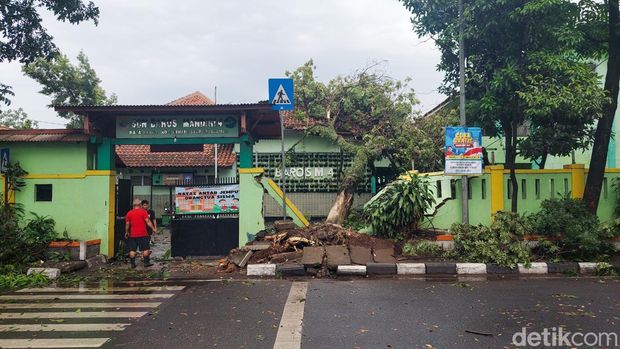 Pohon bertumbangan di Cimahi akibat hujan deras dan angin kencang