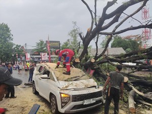 Pohon Tumbang Timpa Mobil di Jaktim, 5 Orang Termasuk 3 Anak Dievakuasi