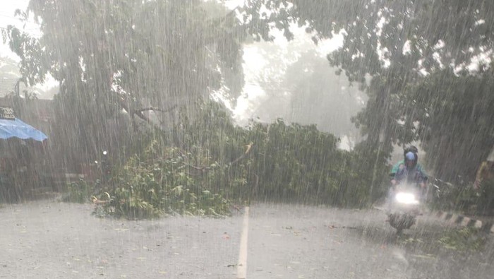 pohon tumbang saat hujan angin di Cimahi