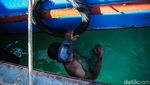 Pongpong, Perahu di Perbatasan RI yang Gunakan Energi Bersih