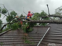 Dampak Hujan Angin di Sleman, 1 Rumah Tersambar Petir-Sejumlah Pohon Tumbang