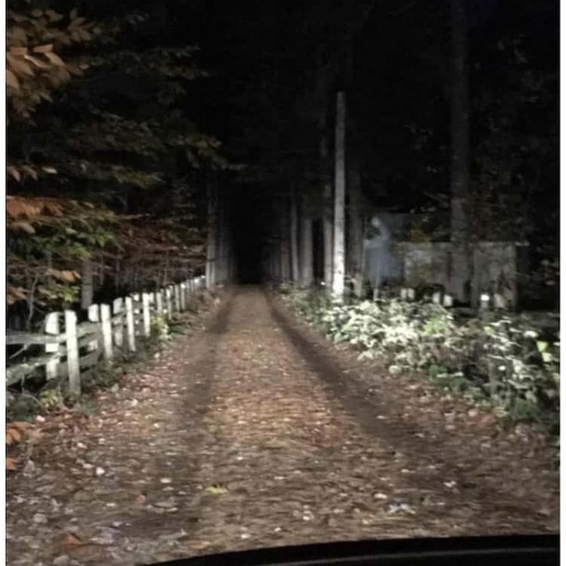 Pada tahun lalu, pengguna Reddit membagikan penampakan hantu yang terekam kamera. Kalau kalaian penakut jangan lihat sendiri.